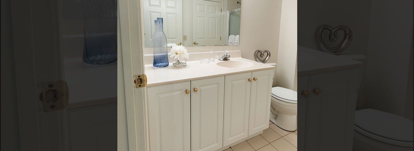 Hall bath with white cabinetry